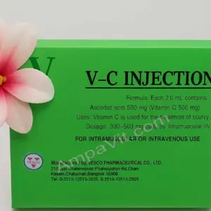 Vitamin C Ampoules 10 x 2ml – Immune Support