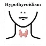 thyroid image